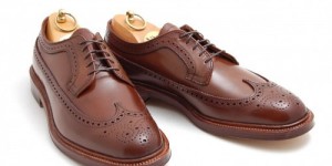 alden-ravello-longwing-blucher-horween-ss2011-1