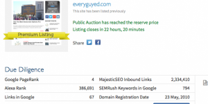 EveryGuyed Network Sale