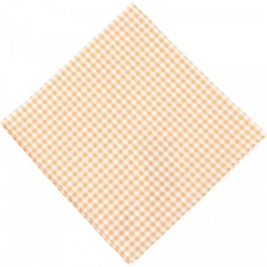 Simonnot Godard Gingham Check Handkerchief