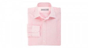 Etro Pink Gingham Shirt