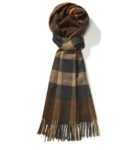 Burberry Fall/Winter 2011 Scarf Collection